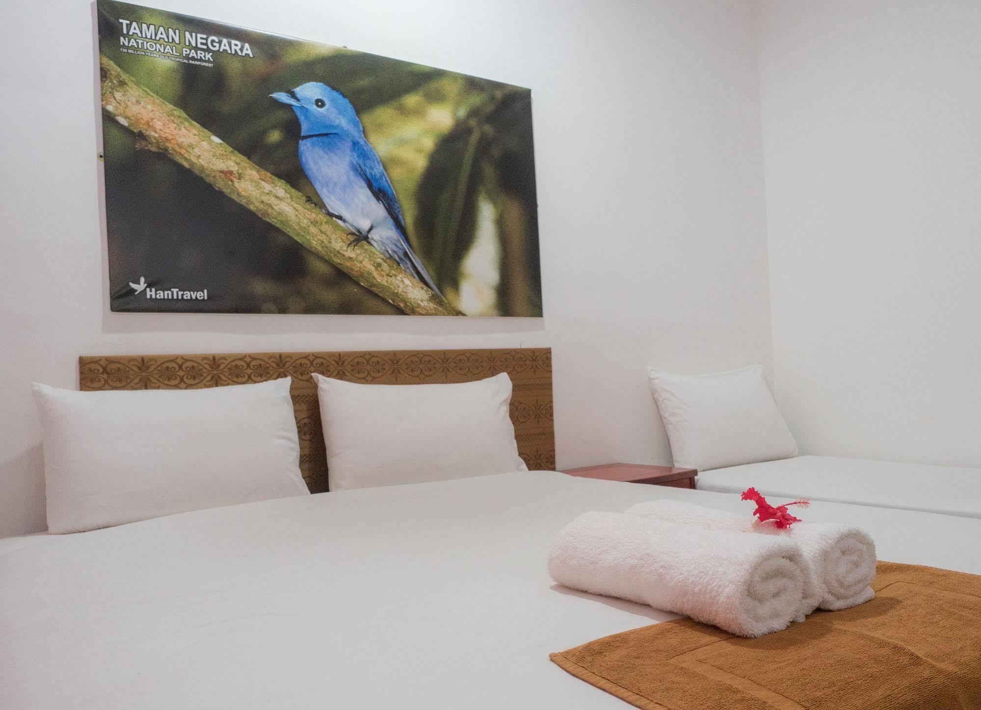 Han Rainforest Resort Kuala Tahan Exteriör bild